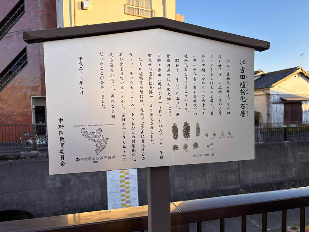 江古田植物化石層発見の地（えごたしょくぶつかせきそうはっけんのち）