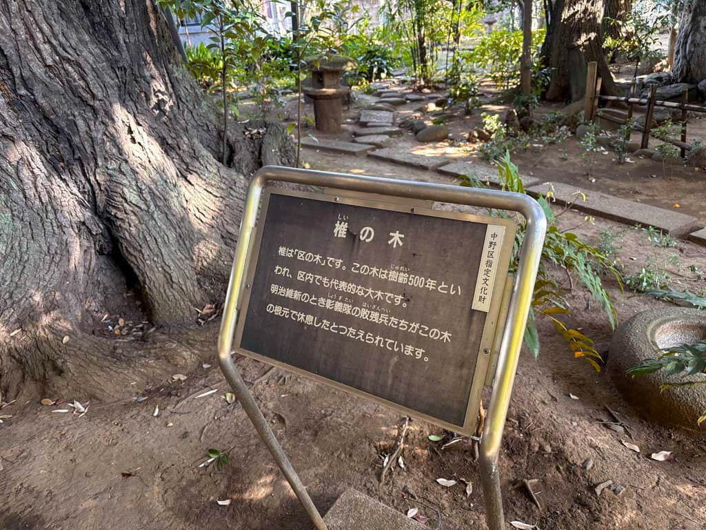 醤油屋のしいの木（しょうゆやのしいのき）