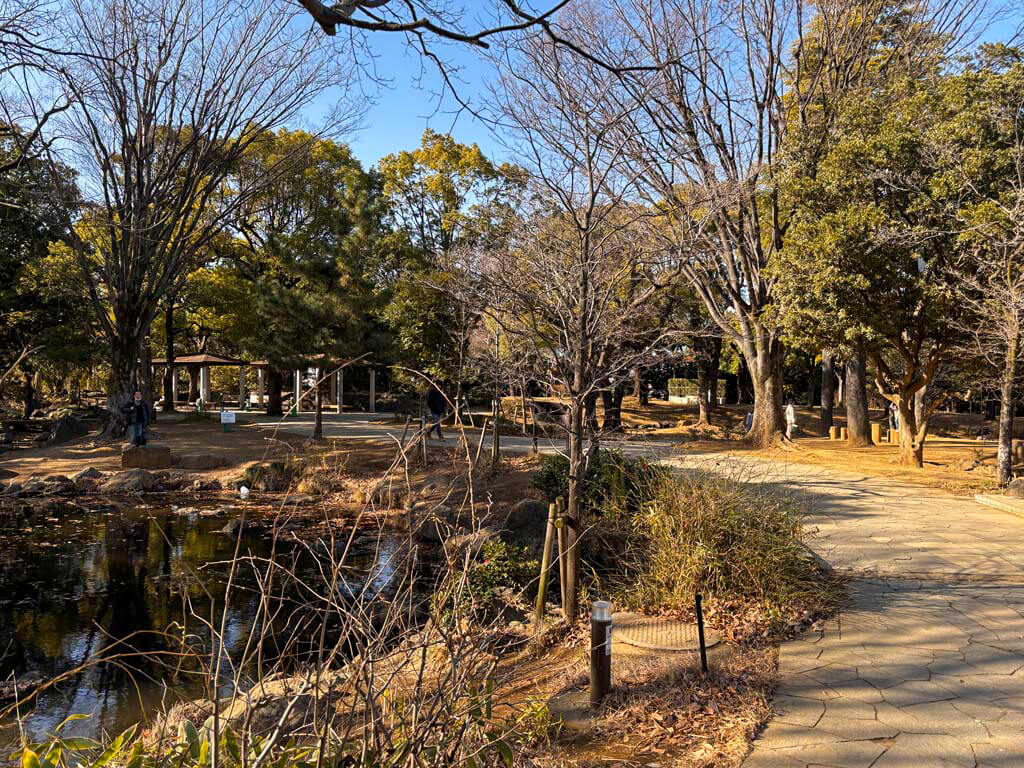 平和の森公園（へいわのもりこうえん）