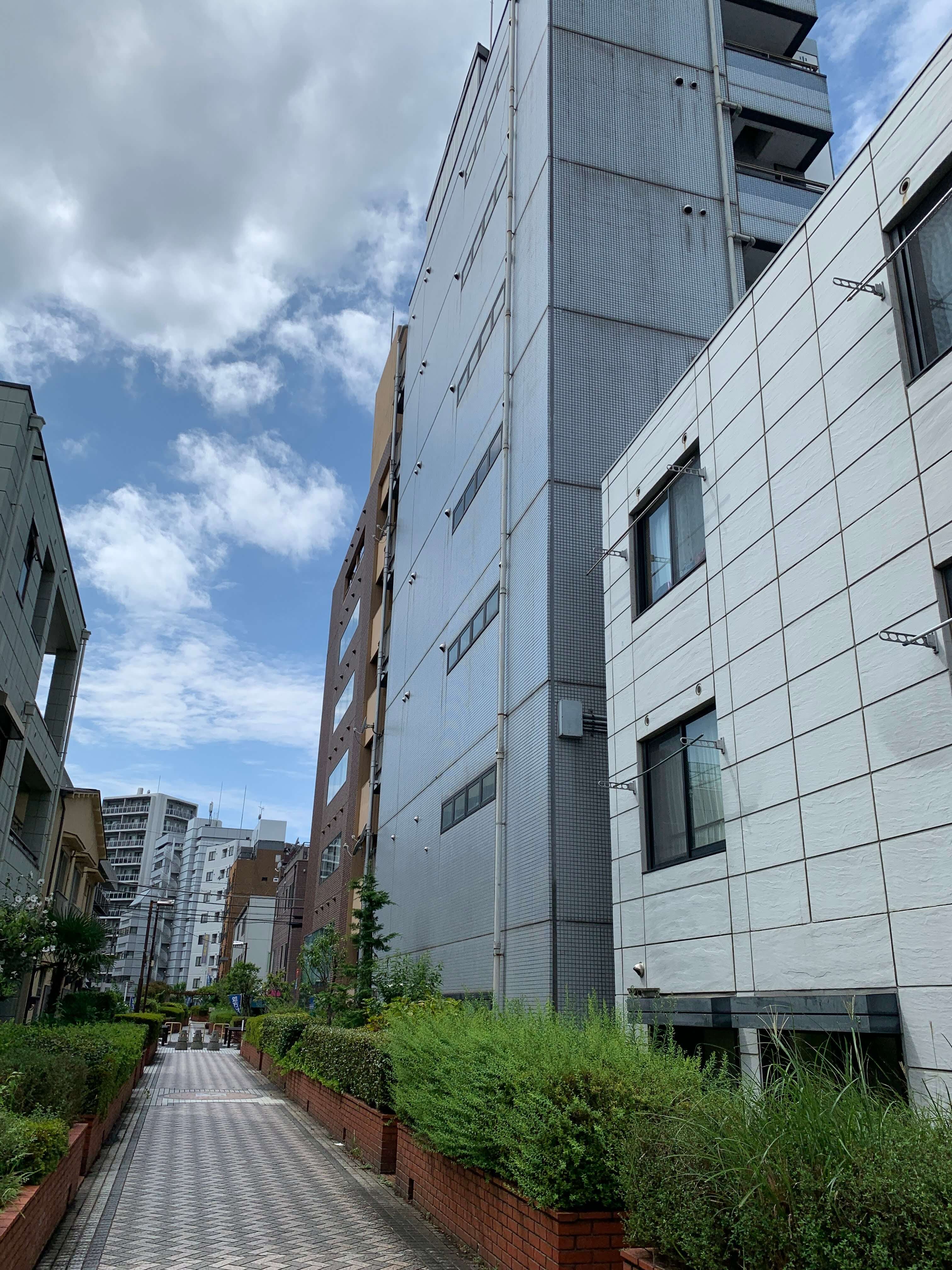 中野暗渠探検〜みえない川をみつけにいこう