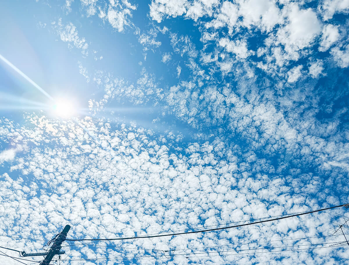 都心に近いのに、空が広い。にぎわいと安らぎが混ざり合う中野の心地よさ
